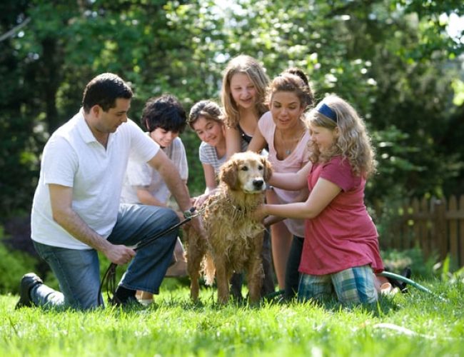 nahrungsergaenzungsmittel-shop-purvitalis-gruppe-familie-hund